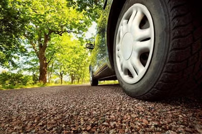 driving car in the forest