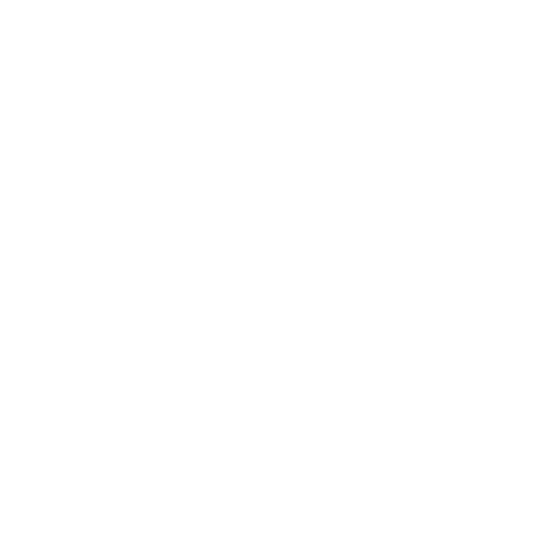 Wheels icon